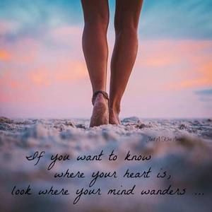 Meet your Posher, Deb